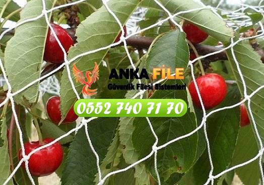 Ankara Şentepe Kuş Filesi 0552 740 71 70